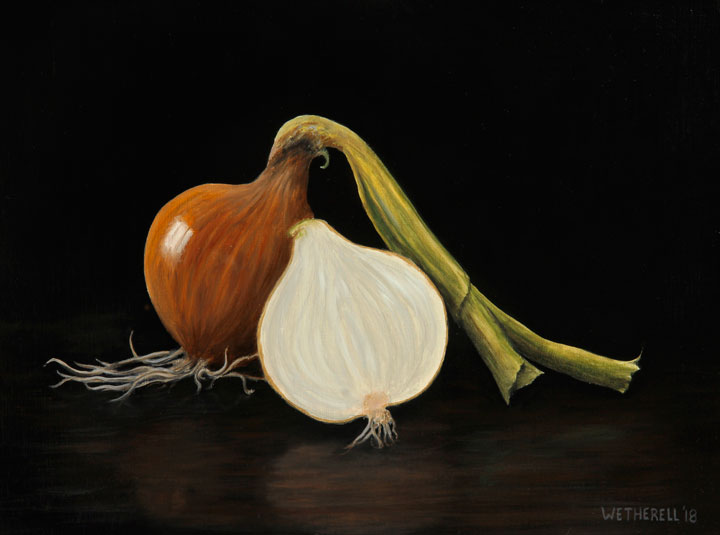 onion painting by Tim Wetherell